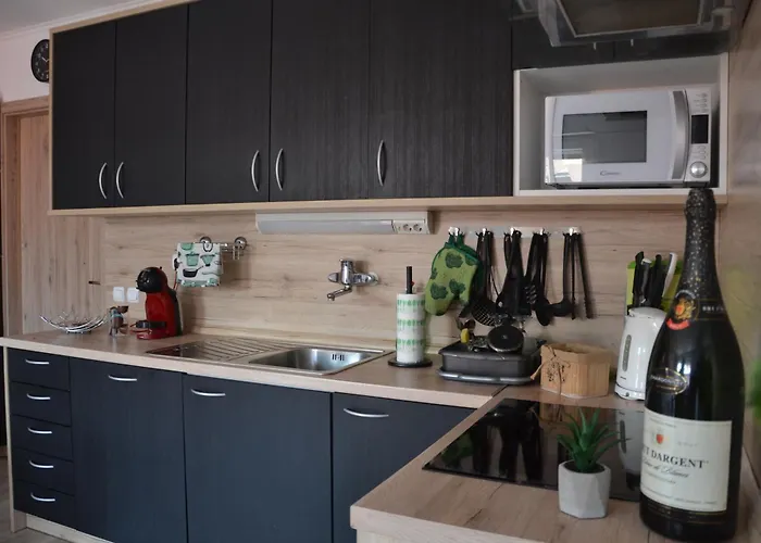 Aparthouse Supreme With Terme Catez Swimming Pools Tickets * Catez ob Savi